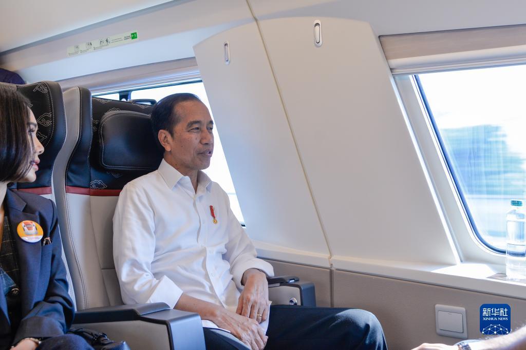 新豪游戏